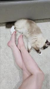 Yuri Momochi yurimomochi OnlyFans