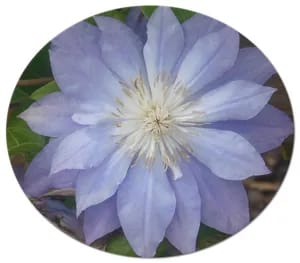 Natures Generations naturesgenerations OnlyFans