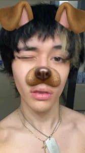 catbed1 catbed1 OnlyFans