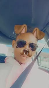 JakkoTheRK9 jakkotherk9 OnlyFans