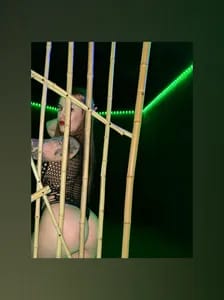 Andrea andreacarugati_official OnlyFans