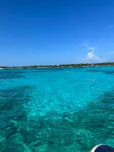 Duchess duchessdds OnlyFans